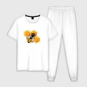 Мужская пижама хлопок с принтом Пчела на соте в Кировске, 100% хлопок | брюки и футболка прямого кроя, без карманов, на брюках мягкая резинка на поясе и по низу штанин
 | животные | жужу | мед | насекомое | насекомые | пчела | пчеловод | пчелы | сота | соты