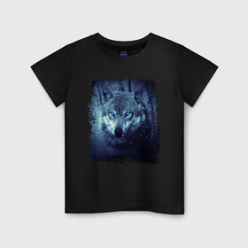 Детская футболка хлопок с принтом Волк в Кировске, 100% хлопок | круглый вырез горловины, полуприлегающий силуэт, длина до линии бедер | wolf | волк | волк в лесу | волк с голубыми глазами | лесной волк | ночной волк | синий волк | собака | темный волк