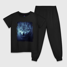 Детская пижама хлопок с принтом Волк в Кировске, 100% хлопок |  брюки и футболка прямого кроя, без карманов, на брюках мягкая резинка на поясе и по низу штанин
 | Тематика изображения на принте: wolf | волк | волк в лесу | волк с голубыми глазами | лесной волк | ночной волк | синий волк | собака | темный волк