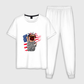 Мужская пижама хлопок с принтом AMERICA в Кировске, 100% хлопок | брюки и футболка прямого кроя, без карманов, на брюках мягкая резинка на поясе и по низу штанин
 | america | dog | usa | америка | американский флаг | граффити | дог | кость | красивые граффити | прикольные граффити | собака | статуя | статуя свободы | сшы | флаг