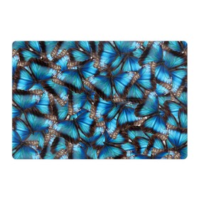 Магнитный плакат 3Х2 с принтом Небесный рой в Кировске, Полимерный материал с магнитным слоем | 6 деталей размером 9*9 см | бабочка | бабочки | белый | синий | черный | яркий цвет