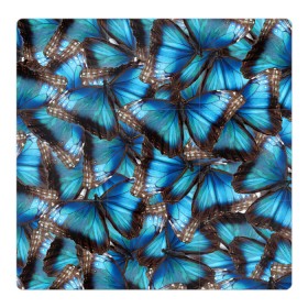 Магнитный плакат 3Х3 с принтом Небесный рой в Кировске, Полимерный материал с магнитным слоем | 9 деталей размером 9*9 см | бабочка | бабочки | белый | синий | черный | яркий цвет