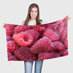 Флаг 3D с принтом Очень много малины в Кировске, 100% полиэстер | плотность ткани — 95 г/м2, размер — 67 х 109 см. Принт наносится с одной стороны | плоды | ягоды