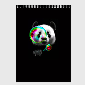 Скетчбук с принтом Панда и мыльный пузырь в Кировске, 100% бумага
 | 48 листов, плотность листов — 100 г/м2, плотность картонной обложки — 250 г/м2. Листы скреплены сверху удобной пружинной спиралью | арт | животные | забавная панда | зверь панда | мыльный пузырь | панда | панды | пузырь | рисунок