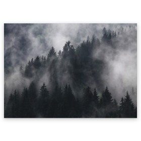 Поздравительная открытка с принтом Лес в Кировске, 100% бумага | плотность бумаги 280 г/м2, матовая, на обратной стороне линовка и место для марки
 | арт | дерево | деревья | зеленый | картинка | лес | небо | облака | облако | природа | рисунок | темный