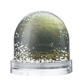 Снежный шар с принтом Летний лес в Кировске, Пластик | Изображение внутри шара печатается на глянцевой фотобумаге с двух сторон | дерево | деревья | зеленый | лес | лето | небо | облако | солнце | темный | ярко