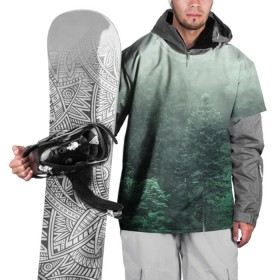 Накидка на куртку 3D с принтом Туманный лес в Кировске, 100% полиэстер |  | Тематика изображения на принте: дерево | деревья | зеленый | лес | облака | облако | снег | темный