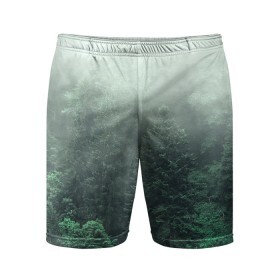 Мужские шорты спортивные с принтом Туманный лес в Кировске,  |  | Тематика изображения на принте: дерево | деревья | зеленый | лес | облака | облако | снег | темный