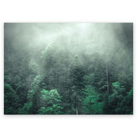 Поздравительная открытка с принтом Туманный лес в Кировске, 100% бумага | плотность бумаги 280 г/м2, матовая, на обратной стороне линовка и место для марки
 | дерево | деревья | зеленый | лес | облака | облако | снег | темный