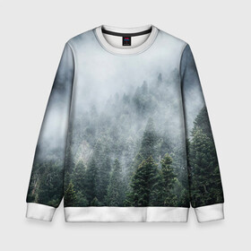 Детский свитшот 3D с принтом Туманный лес в Кировске, 100% полиэстер | свободная посадка, прямой крой, мягкая тканевая резинка на рукавах и понизу свитшота | белый | зеленый | лес | облака | облако | природа | темный | туман