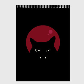 Скетчбук с принтом Vampire Cat в Кировске, 100% бумага
 | 48 листов, плотность листов — 100 г/м2, плотность картонной обложки — 250 г/м2. Листы скреплены сверху удобной пружинной спиралью | art | cat | red moon | vampire | арт | вампир | животные | картинка | кот | котик | кошка | красная луна | рисунок