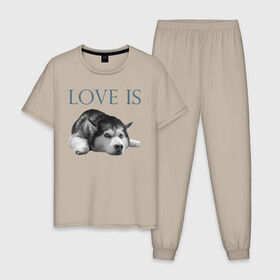 Мужская пижама хлопок с принтом Любовь - это хаски в Кировске, 100% хлопок | брюки и футболка прямого кроя, без карманов, на брюках мягкая резинка на поясе и по низу штанин
 | Тематика изображения на принте: дрессировка | забота | любовь | сибирский хаски | собака | собаки | собачка | собачник | увлечение | хаски | хобби