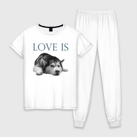 Женская пижама хлопок с принтом Любовь - это хаски в Кировске, 100% хлопок | брюки и футболка прямого кроя, без карманов, на брюках мягкая резинка на поясе и по низу штанин | дрессировка | забота | любовь | сибирский хаски | собака | собаки | собачка | собачник | увлечение | хаски | хобби