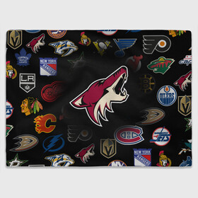 Плед 3D с принтом Arizona Coyotes | NHL (Z) в Кировске, 100% полиэстер | закругленные углы, все края обработаны. Ткань не мнется и не растягивается | Тематика изображения на принте: anaheim ducks | arizona coyotes | boston bruins | buffalo sabres | calgary flames | canadiens de montreal | carolina hurricanes | chicago blackhawks | colorado avalanche | columbus blue jackets | dallas stars | detroit red wings | edmonton oil | hockey | 