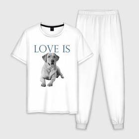 Мужская пижама хлопок с принтом Любовь - это лабрадор в Кировске, 100% хлопок | брюки и футболка прямого кроя, без карманов, на брюках мягкая резинка на поясе и по низу штанин
 | дрессировка | забота | лабр | лабрадор | лабрадор ретривер | любовь | собака | собаки | собачка | собачник | увлечение | хобби