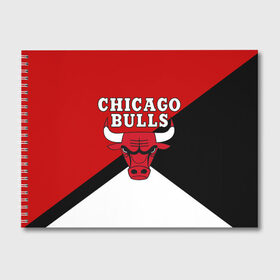 Альбом для рисования с принтом CHICAGO BULLS в Кировске, 100% бумага
 | матовая бумага, плотность 200 мг. | bulls | chicago | chicago bulls | nba | red bulls | usa | америка | быки | нба | сша | чикаго буллс