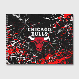 Альбом для рисования с принтом CHICAGO BULLS в Кировске, 100% бумага
 | матовая бумага, плотность 200 мг. | 