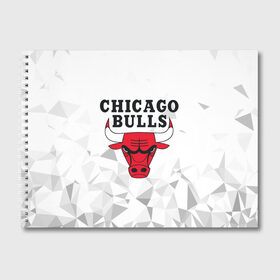 Альбом для рисования с принтом CHICAGO BULLS в Кировске, 100% бумага
 | матовая бумага, плотность 200 мг. | bulls | chicago | chicago bulls | nba | red bulls | usa | америка | быки | нба | сша | чикаго буллс