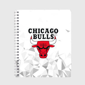 Тетрадь с принтом CHICAGO BULLS в Кировске, 100% бумага | 48 листов, плотность листов — 60 г/м2, плотность картонной обложки — 250 г/м2. Листы скреплены сбоку удобной пружинной спиралью. Уголки страниц и обложки скругленные. Цвет линий — светло-серый
 | Тематика изображения на принте: bulls | chicago | chicago bulls | nba | red bulls | usa | америка | быки | нба | сша | чикаго буллс