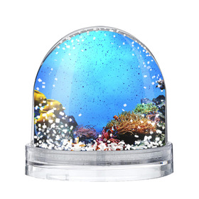 Снежный шар с принтом Подводный мир в Кировске, Пластик | Изображение внутри шара печатается на глянцевой фотобумаге с двух сторон | аква | аквариум | актинии | вода | море | морские | морские звезды | морской | океан | под водой | подводный мир | пузырьки | рыба | рыба клоун | рыбы