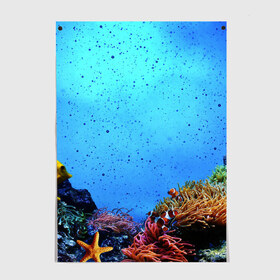 Постер с принтом Подводный мир в Кировске, 100% бумага
 | бумага, плотность 150 мг. Матовая, но за счет высокого коэффициента гладкости имеет небольшой блеск и дает на свету блики, но в отличии от глянцевой бумаги не покрыта лаком | Тематика изображения на принте: аква | аквариум | актинии | вода | море | морские | морские звезды | морской | океан | под водой | подводный мир | пузырьки | рыба | рыба клоун | рыбы