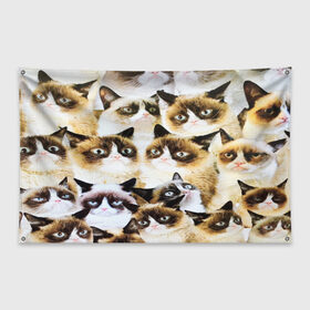 Флаг-баннер с принтом КОТ МЕМ в Кировске, 100% полиэстер | размер 67 х 109 см, плотность ткани — 95 г/м2; по краям флага есть четыре люверса для крепления | cat | взгляд | кот | кот хипстер | котёнок | котятки | котятушки | кошечки | кошка | мордочка