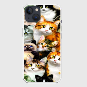 Чехол для iPhone 13 с принтом КОТЫ в Кировске,  |  | cat | взгляд | кот | кот хипстер | котёнок | котятки | котятушки | кошечки | кошка | мордочка