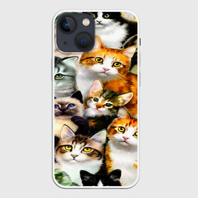 Чехол для iPhone 13 mini с принтом КОТЫ в Кировске,  |  | cat | взгляд | кот | кот хипстер | котёнок | котятки | котятушки | кошечки | кошка | мордочка