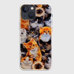 Чехол для iPhone 13 mini с принтом КОТЯТКИ в Кировске,  |  | cat | взгляд | кот | кот хипстер | котёнок | котятки | котятушки | кошечки | кошка | мордочка