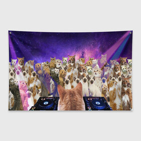 Флаг-баннер с принтом КОТ DJ в Кировске, 100% полиэстер | размер 67 х 109 см, плотность ткани — 95 г/м2; по краям флага есть четыре люверса для крепления | Тематика изображения на принте: cat | взгляд | кот | кот хипстер | котёнок | котятки | котятушки | кошечки | кошка | мордочка
