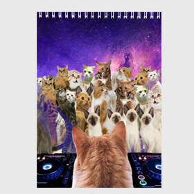 Скетчбук с принтом КОТ DJ в Кировске, 100% бумага
 | 48 листов, плотность листов — 100 г/м2, плотность картонной обложки — 250 г/м2. Листы скреплены сверху удобной пружинной спиралью | cat | взгляд | кот | кот хипстер | котёнок | котятки | котятушки | кошечки | кошка | мордочка