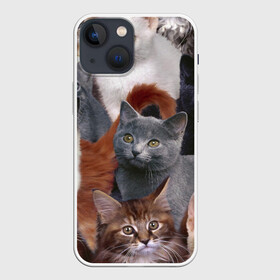 Чехол для iPhone 13 mini с принтом КОТЯТКИ в Кировске,  |  | cat | взгляд | кот | кот хипстер | котёнок | котятки | котятушки | кошечки | кошка | мордочка