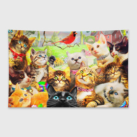 Флаг-баннер с принтом КОТЫ в Кировске, 100% полиэстер | размер 67 х 109 см, плотность ткани — 95 г/м2; по краям флага есть четыре люверса для крепления | cat | взгляд | кот | кот хипстер | котёнок | котятки | котятушки | кошечки | кошка | мордочка