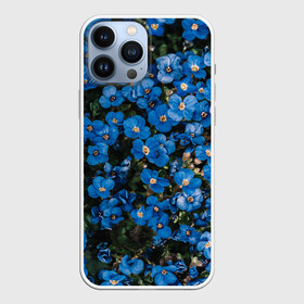 Чехол для iPhone 13 Pro Max с принтом Поле синих цветов фиалки лето в Кировске,  |  | голубые цветочки | лето | луг | незабудки | поле | поляна | синие цветы | узор из цветов | фиалки | фото реализм | цветы