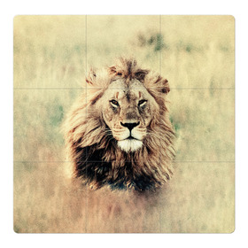 Магнитный плакат 3Х3 с принтом Lion King в Кировске, Полимерный материал с магнитным слоем | 9 деталей размером 9*9 см | animals | king | lion | африка | взгляд | голова | грива | дикие | животные | зверек | зверь | зодиак | клыки | король | кот | кошак | кошка | лапы | лев | лео | львенок | оскал | природа | саванна | симба | созвездие