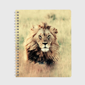 Тетрадь с принтом Lion King в Кировске, 100% бумага | 48 листов, плотность листов — 60 г/м2, плотность картонной обложки — 250 г/м2. Листы скреплены сбоку удобной пружинной спиралью. Уголки страниц и обложки скругленные. Цвет линий — светло-серый
 | Тематика изображения на принте: animals | king | lion | африка | взгляд | голова | грива | дикие | животные | зверек | зверь | зодиак | клыки | король | кот | кошак | кошка | лапы | лев | лео | львенок | оскал | природа | саванна | симба | созвездие