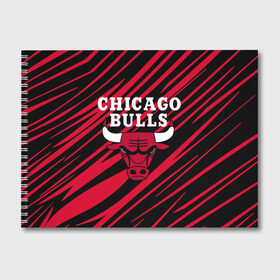 Альбом для рисования с принтом Chicago Bulls в Кировске, 100% бумага
 | матовая бумага, плотность 200 мг. | 23 | air jordan | bulls | chicago bulls | jordan | michael jordan | nba | paris saint germain | psg | red | sport | быки | джордан | майкл джордан | псж | спорт | чикаго буллс