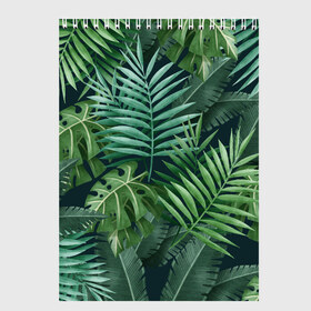 Скетчбук с принтом Тропики в Кировске, 100% бумага
 | 48 листов, плотность листов — 100 г/м2, плотность картонной обложки — 250 г/м2. Листы скреплены сверху удобной пружинной спиралью | summer | банановая | банановые | джунгли | зелень | краски | летняя | лето | листики | листы | листья | надпись | настроение | отдых | отпуск | пальма | пальмовые | пальмы | папоротник | пляжная | позитив