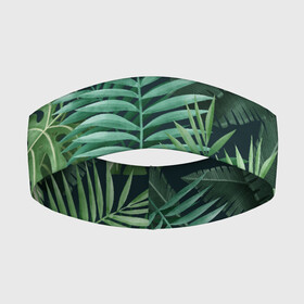 Повязка на голову 3D с принтом Тропики в Кировске,  |  | summer | банановая | банановые | джунгли | зелень | краски | летняя | лето | листики | листы | листья | надпись | настроение | отдых | отпуск | пальма | пальмовые | пальмы | папоротник | пляжная | позитив