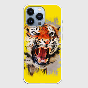 Чехол для iPhone 13 Pro с принтом Оскал тигра в Кировске,  |  | барс | волк | детёныш | джунгли | енот | животное | зубр | кот | лев | леопард | львица | медведь | охотник | пасть | полосы | пятнистая | рык | рычание | тигр | тигрица | хозяин | царьзверей | шерсть