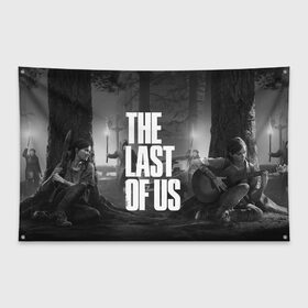 Флаг-баннер с принтом THE LAST OF US 2 в Кировске, 100% полиэстер | размер 67 х 109 см, плотность ткани — 95 г/м2; по краям флага есть четыре люверса для крепления | cicadas | fireflies | naughty dog | the last of us | the last of us part 2 | tlou | tlou2 | джоэл | последние из нас | цикады | элли