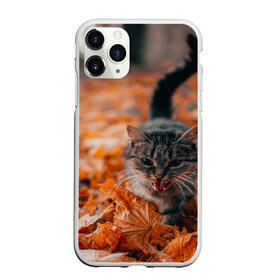 Чехол для iPhone 11 Pro Max матовый с принтом мяукающий кот осенние листья в Кировске, Силикон |  | Тематика изображения на принте: золотая осень | кот | кошка | крик | листва | листья | мяу | мяукает | осень | сезон | уличный котейка