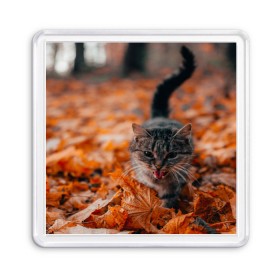 Магнит 55*55 с принтом мяукающий кот осенние листья в Кировске, Пластик | Размер: 65*65 мм; Размер печати: 55*55 мм | золотая осень | кот | кошка | крик | листва | листья | мяу | мяукает | осень | сезон | уличный котейка