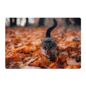 Магнитный плакат 3Х2 с принтом мяукающий кот осенние листья в Кировске, Полимерный материал с магнитным слоем | 6 деталей размером 9*9 см | золотая осень | кот | кошка | крик | листва | листья | мяу | мяукает | осень | сезон | уличный котейка