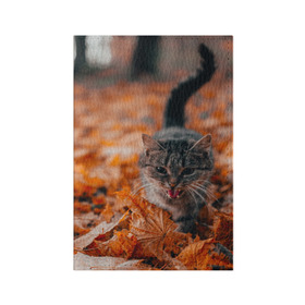 Обложка для паспорта матовая кожа с принтом мяукающий кот осенние листья в Кировске, натуральная матовая кожа | размер 19,3 х 13,7 см; прозрачные пластиковые крепления | Тематика изображения на принте: золотая осень | кот | кошка | крик | листва | листья | мяу | мяукает | осень | сезон | уличный котейка
