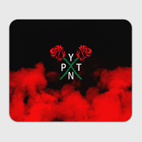 Коврик для мышки прямоугольный с принтом PYTN X ROSE. в Кировске, натуральный каучук | размер 230 х 185 мм; запечатка лицевой стороны | payton | payton moormeie | pytn | rose | блогер | знаменитость | пейтон | пейтон моормиер | тиктоенр