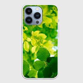 Чехол для iPhone 13 Pro с принтом Листья. в Кировске,  |  | abstract | brand | geometry | sport | texture | абстракция | бренд | геометрия | классика | летние | минимализм | модные | популярные иллюстрации | прикольные картинки | спорт | стиль | стильные | текстура