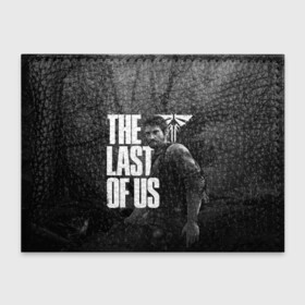 Обложка для студенческого билета с принтом THE LAST OF US в Кировске, натуральная кожа | Размер: 11*8 см; Печать на всей внешней стороне | cicadas | fireflies | naughty dog | the last of us | the last of us part 2 | джоэл | последние из нас | цикады | элли