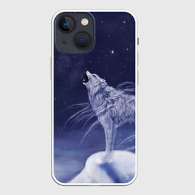 Чехол для iPhone 13 mini с принтом WOLF WHITE(D) в Кировске,  |  | wolf | волк | волки | волчица | животные | одинокий волк