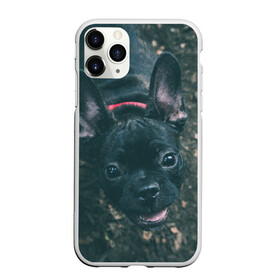 Чехол для iPhone 11 Pro Max матовый с принтом Бульдог морда собакена черного в Кировске, Силикон |  | бульдог | гав | глаза | любимец | любителю животных | ошейник | пес | песель | песик | питомец | псина | псинка | собака | собакен | собачка | собачник | уши | черный | язык